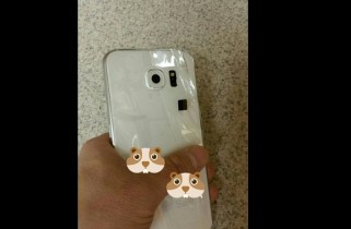 Could-this-be-the-white-Galaxy-S64