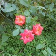 20150922_151013