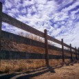 Light-L16-photo-sample-gallery 10