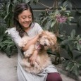 Light-L16-photo-sample-gallery 11