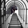 nikon-gets-blasted-after-choosing-photoshop-image-as-contest-winner-499663-4