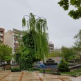 SGS7-cam-04