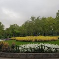 SGS7-cam-10