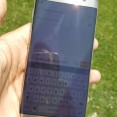 SGS7E-Design203