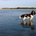 OnePlus-3-official-camera-test-photos (2)
