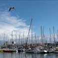 OnePlus-3-official-camera-test-photos (4)