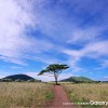 Samsung-Galaxy-Note-7-official-camera-samples5