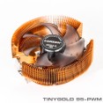 TinyGold95_PWM_1 1