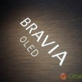 sony_XBR-A1E-BRAVIA-8
