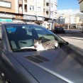 cam-day-09