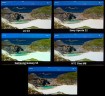 Color-reproduction (12)