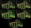 Color-reproduction (8)