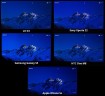 Color-reproduction (9)