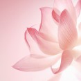 Huawei P10 stock wallpapers 05