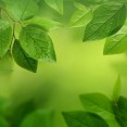 Huawei P10 stock wallpapers 14