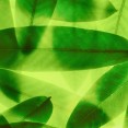 Huawei P10 stock wallpapers 15