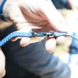 apple-watch-2-theverge-1_1320_verge_super_wide