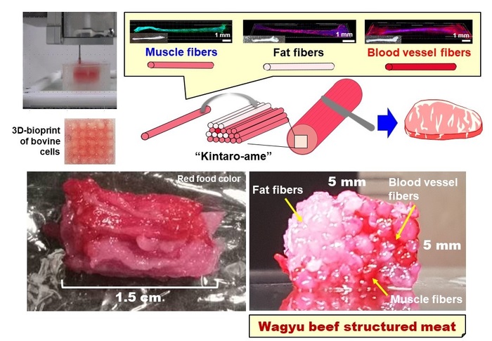 wagyu-2.jpg