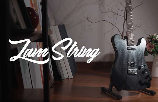 zamstring-2.jpg