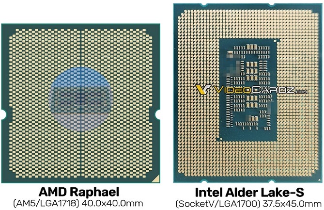 111AMD-01.jpg