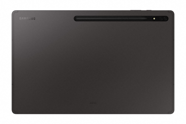 3-01 Galaxy Tab S8 Ultra_Graphite_Back With S Pen_LI.jpg