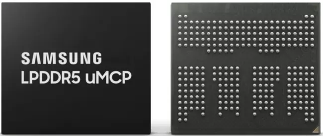 UMCP.webp