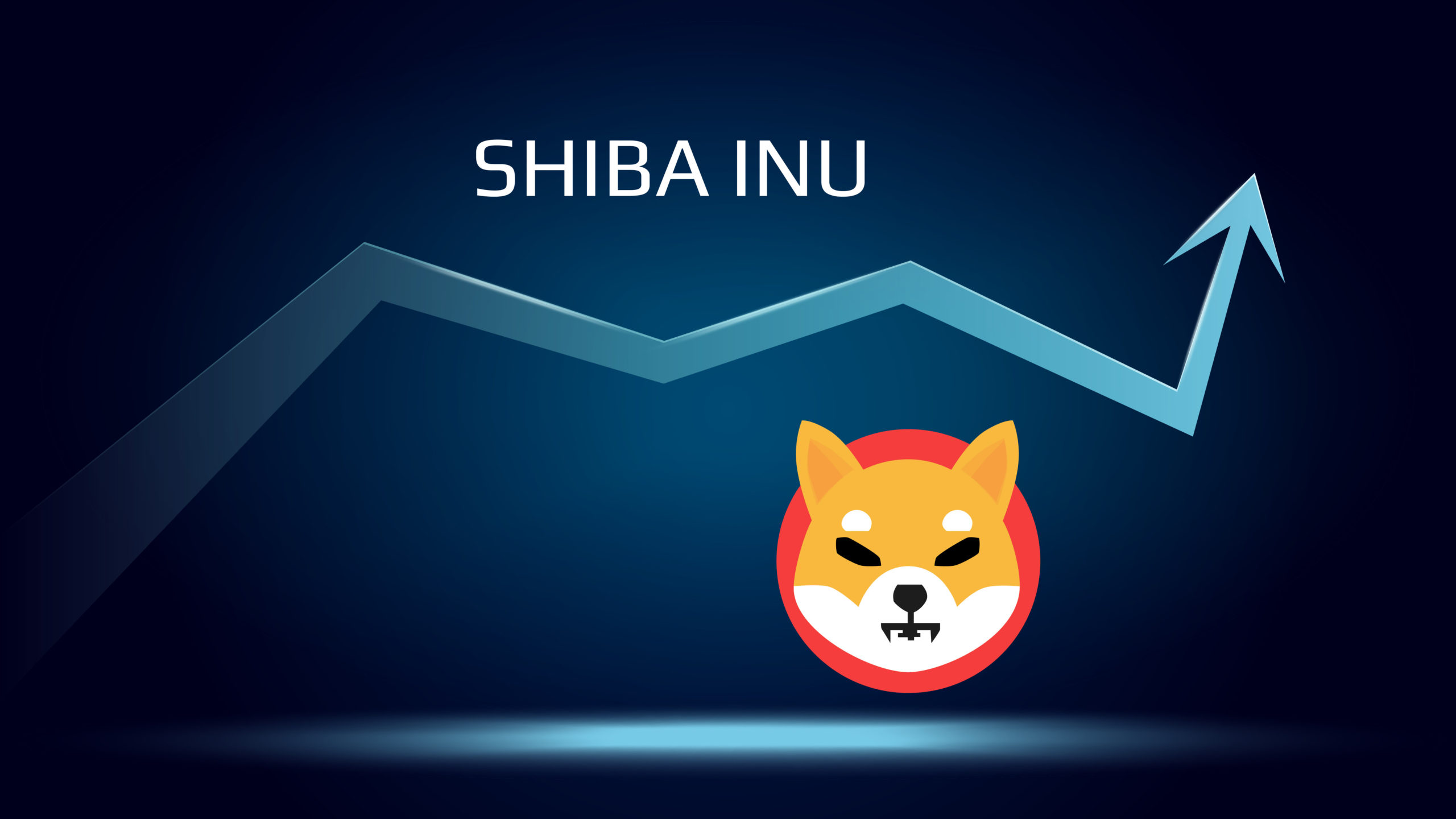 shibainu1.jpg
