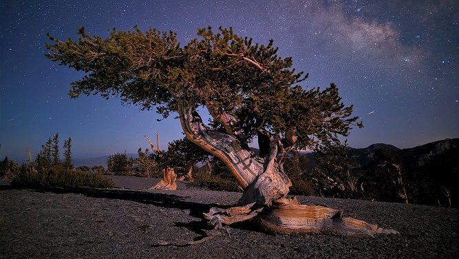 نمونه تصویر دوربین گوگل پیکسل 7 پرو در شب