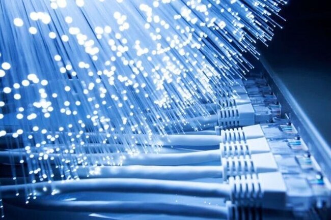fibre-noori.jpg