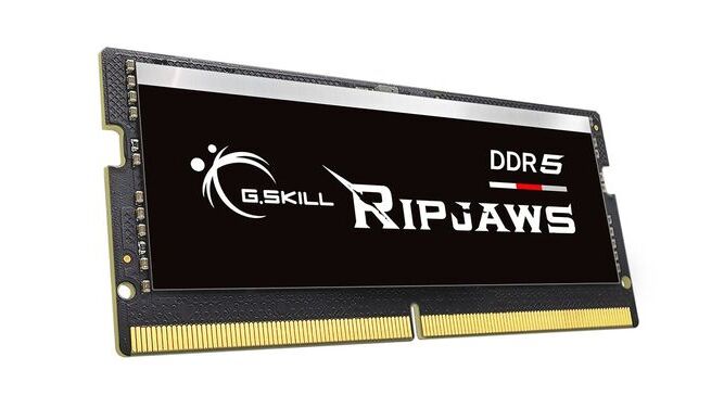 حافظه رم gskill ripjaws