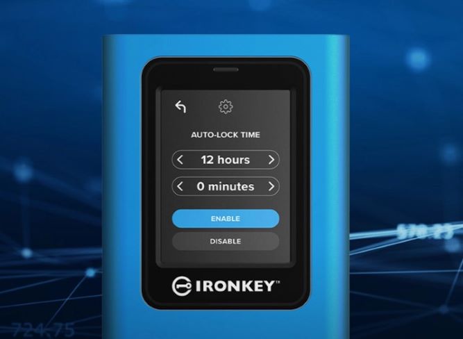 هارد اکسترنال IronKey Vault Privacy 80