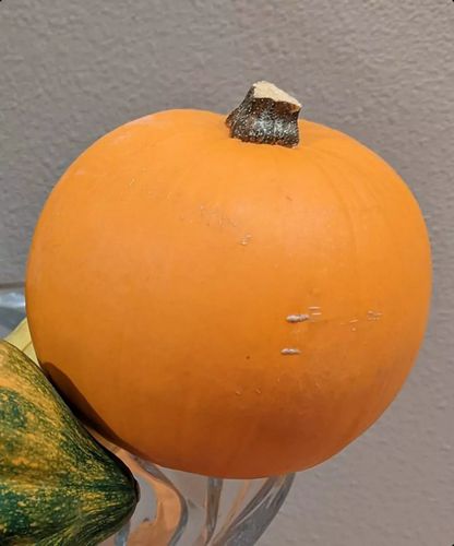نمونه عکس گوشی پیکسل 7 پرو 