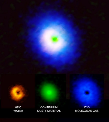 vorion-2.JPG