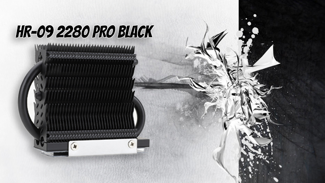 خنک‌کننده HR-09 2280 PRO BLACK از برند Thermalright 