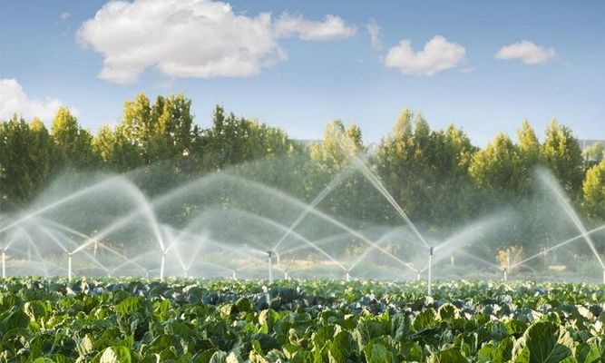 انواع تایمر آبیاری