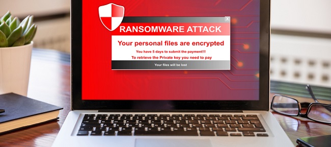 راهکارهای حل مشکل مخفی شدن فایل ها در فلش و هارد