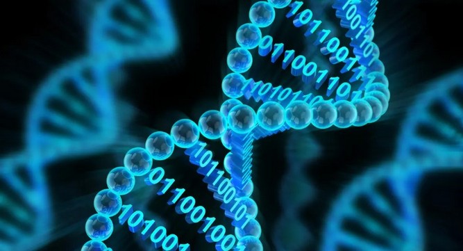ساخت دیتاسنتر DNA 