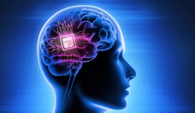 پردازنده DishBrain