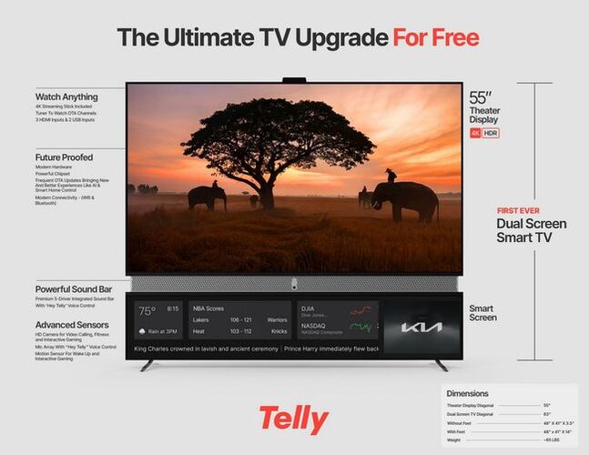 تلویزیون telly
