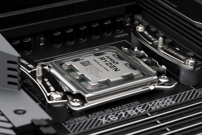 noctua