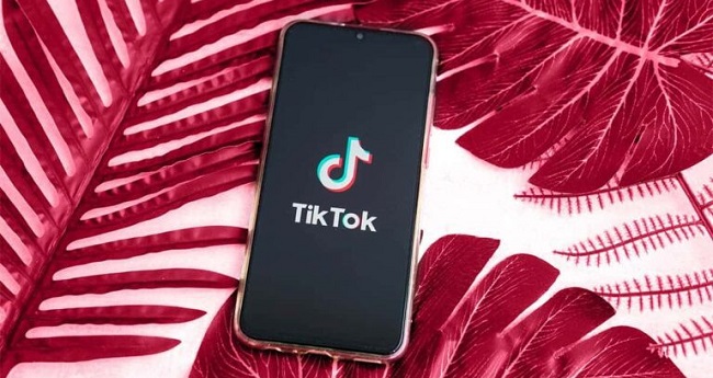 چت‌بات هوش مصنوعی تیک تاک به نام تاکو Tako