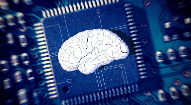 موفقیت شرکت Precision Neuroscience در کاشت تراشه روی مغز انسان