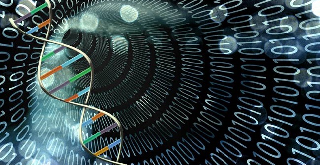 کنترل DNA با کمک پالس‌های الکتریکی ممکن شد