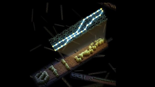 نسل جدید سیستم‌های محاسباتی با کمک DNA قابل برنامه‌ریزی