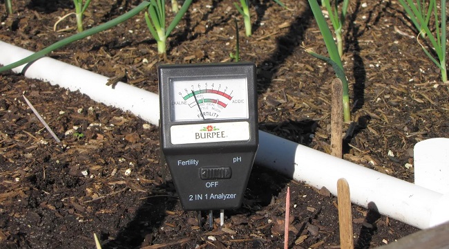 اولین خاک الکترونیکی در جهان