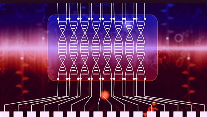 آزمایشگاه روی تراشه (Lab-On-Chip) مبتنی بر DNA