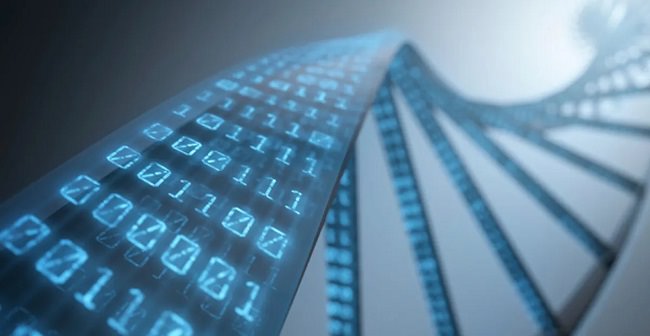 ذخیره‌سازی اطلاعات با استفاده از DNA