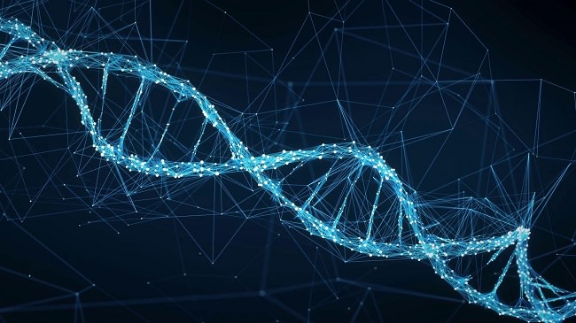 آزمایشگاه روی تراشه (Lab-On-Chip) مبتنی بر DNA