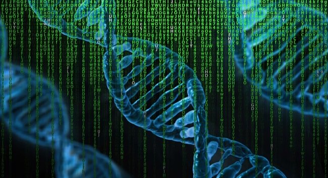 آزمایشگاه روی تراشه (Lab-On-Chip) مبتنی بر DNA