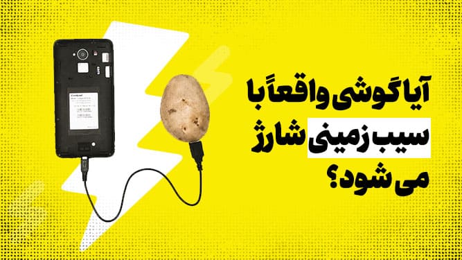 شارژ گوشی با سیب زمینی